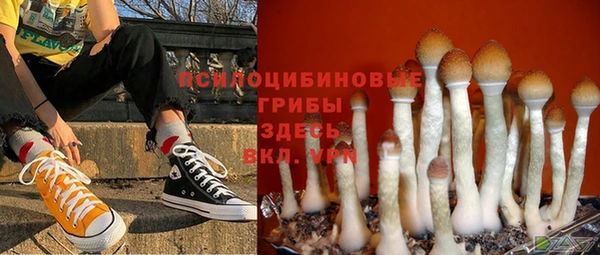 мдпв Алзамай