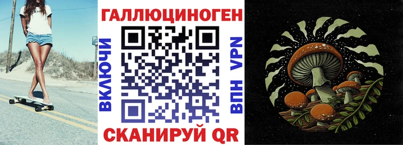 купить наркоту  кракен сайт  это телеграм  Черкесск  Галлюциногенные грибы Magic Shrooms 