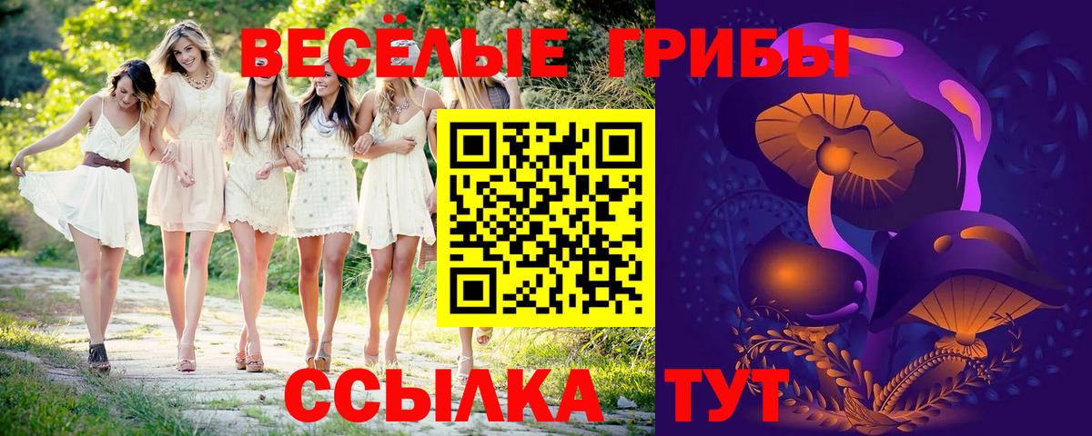 Псилоцибиновые грибы Psilocybine cubensis  Галлюциногенные грибы Psilocybe  где найти наркотики  Вход с VPN  Черкесск 