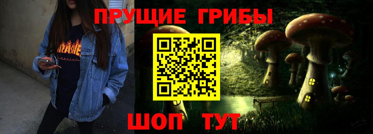 Псилоцибиновые грибы мицелий Черкесск